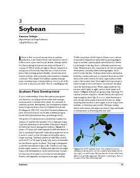 llinois is rst or second among states in soybean production in the Un