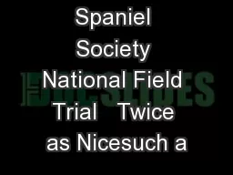 2015 Boykin Spaniel Society National Field Trial   Twice as Nicesuch a