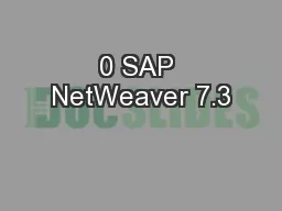 0 SAP NetWeaver 7.3