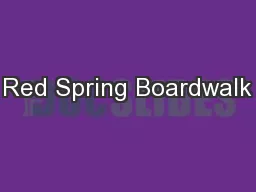 Red Spring Boardwalk