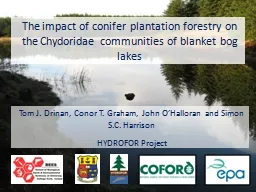The impact of conifer plantation forestry on the