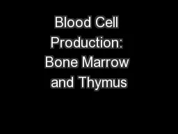 Blood Cell Production: Bone Marrow and Thymus