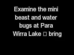 Examine the mini beast and water bugs at Para Wirra Lake – bring