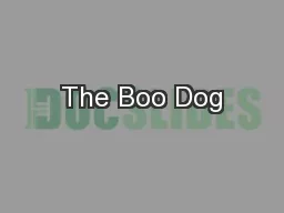 The Boo Dog