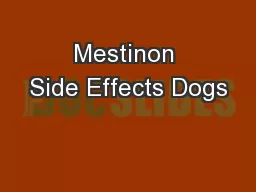 Mestinon Side Effects Dogs