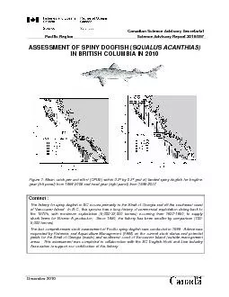 Pacific Region Spiny Dogfish
