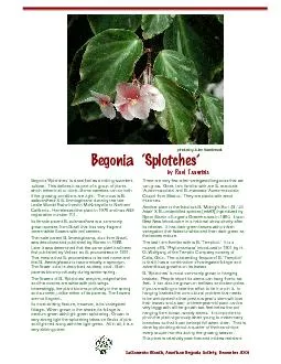 Sacramento Branch, American Begonia Society, December 2001