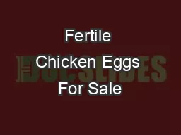 Fertile Chicken Eggs For Sale
