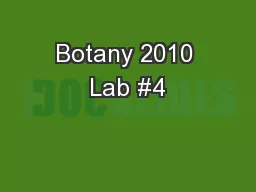 Botany 2010 Lab #4