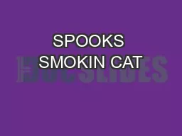 SPOOKS SMOKIN CAT