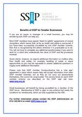 of SSIP for Smaller Businesses