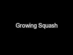 Growing Squash