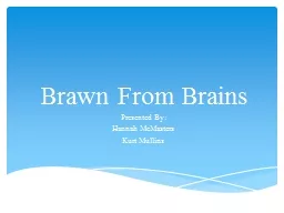 Brawn From Brains