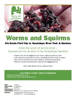 Worms and Squirms