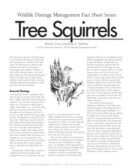 Four species of squirrels