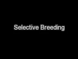 Selective Breeding