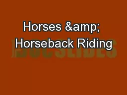Horses & Horseback Riding
