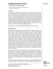 StainingProteinsinGels
