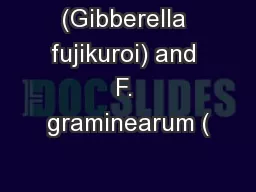 (Gibberella fujikuroi) and F. graminearum (