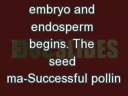 ment of the embryo and endosperm begins. The seed ma-Successful pollin