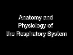 Anatomy and Physiology of the Respiratory System
