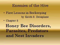 Enemies of the Hive