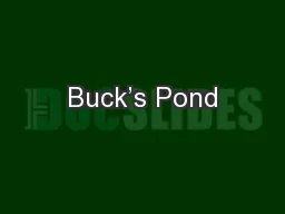 Buck’s Pond