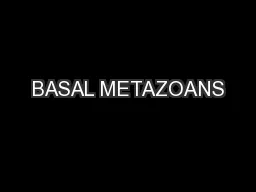 BASAL METAZOANS