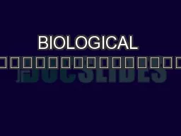 BIOLOGICAL PROFILE / STATURE