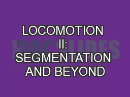 LOCOMOTION II: SEGMENTATION AND BEYOND