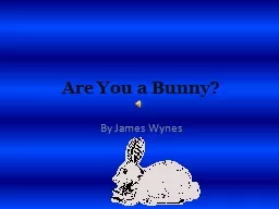 Are You a Bunny?