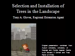 Selection and Installation of Trees in the Landscape