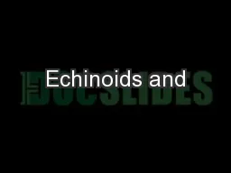 Echinoids and