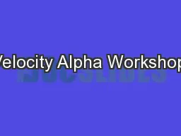 Velocity Alpha Workshop: