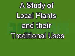 A Study of Local Plants and their Traditional Uses