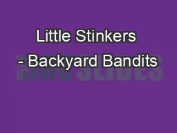 Little Stinkers - Backyard Bandits