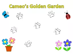 Cameo’s Golden Garden