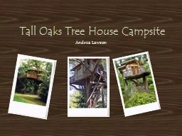 Tall Oaks Tree House Campsite