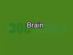 Brain 