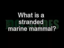 What is a stranded marine mammal?