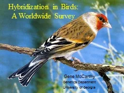 Hybridization in Birds: