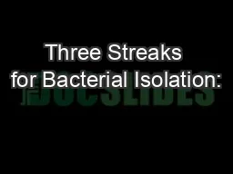 Three Streaks for Bacterial Isolation: