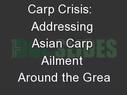 Carp Crisis:  Addressing Asian Carp Ailment Around the Grea