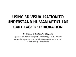 USING 3D VISUALISATION TO UNDERSTAND HUMAN ARTICULAR CARTIL
