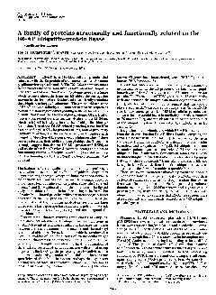 Proc.Natl.Acad.Sci.USAVol.92,pp.2563-2567,March1995BiochemistryAfamily