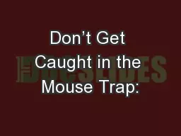 Don’t Get Caught in the Mouse Trap: