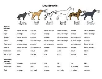 Dog Breeds Breed A Breed B Breed C Breed D Breed E Breed Tally Collie