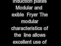 Modular cooking   Electric range Induction plates Modular and  exible  Fryer The modular