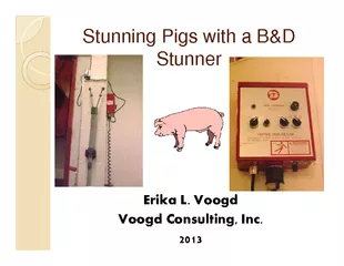 PDF-StunningPigswithaB&D thumbnail