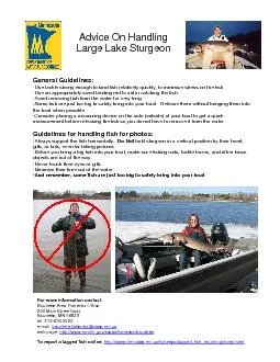 General Guidelines:Use tackle strong enough to land fish relatively qu